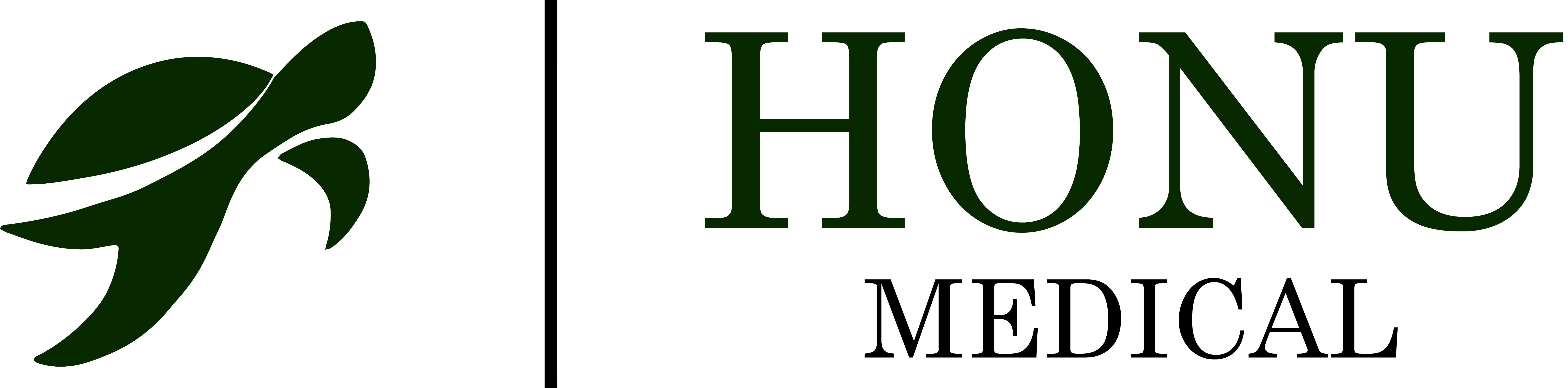 Honu Medical Turtle Logo