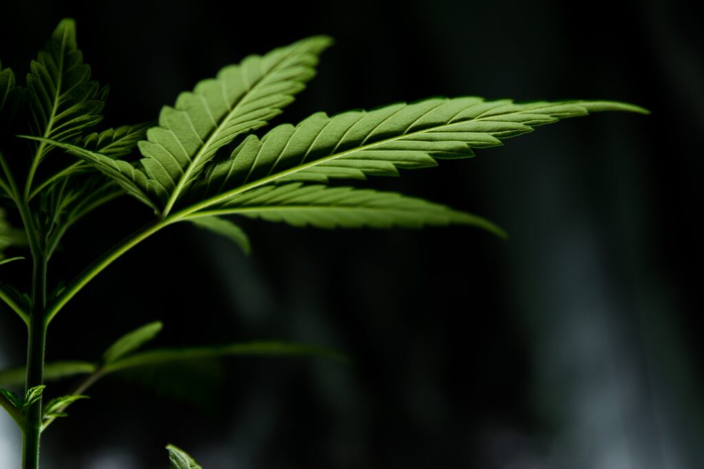 Honu Medical Utah Medical Cannabis Program